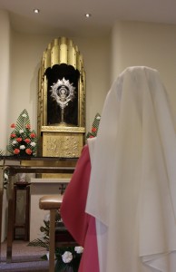 aanbiddingcloseup-194×300